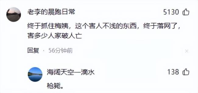 人民日报评梅姨落网：必遭严惩 正义虽迟但到