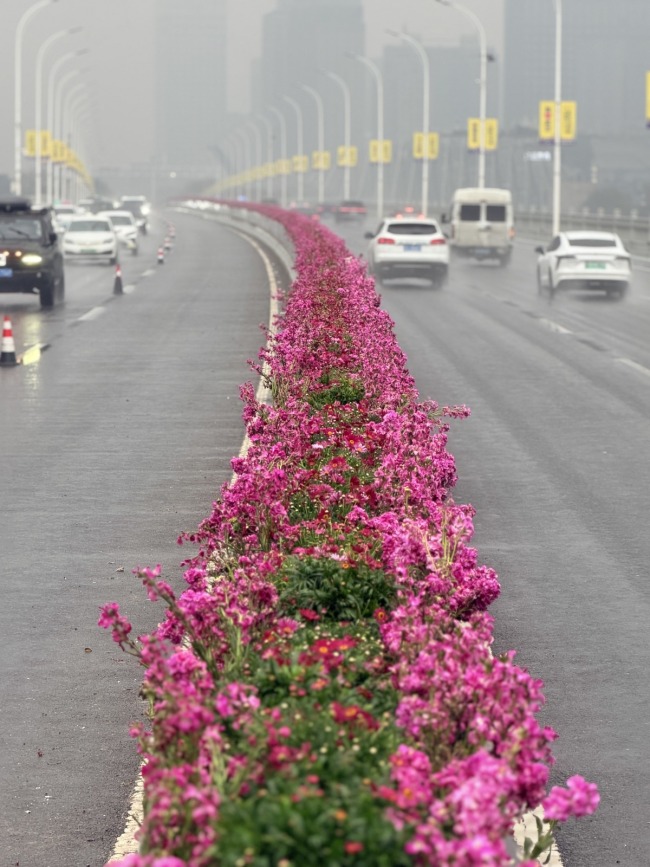武汉欢乐谷簪花团队为汉马选手加油 春花盛宴助力奔跑