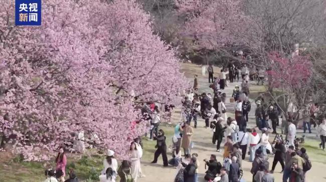 清明这些景点凭火车票能打折 持票享景区优惠