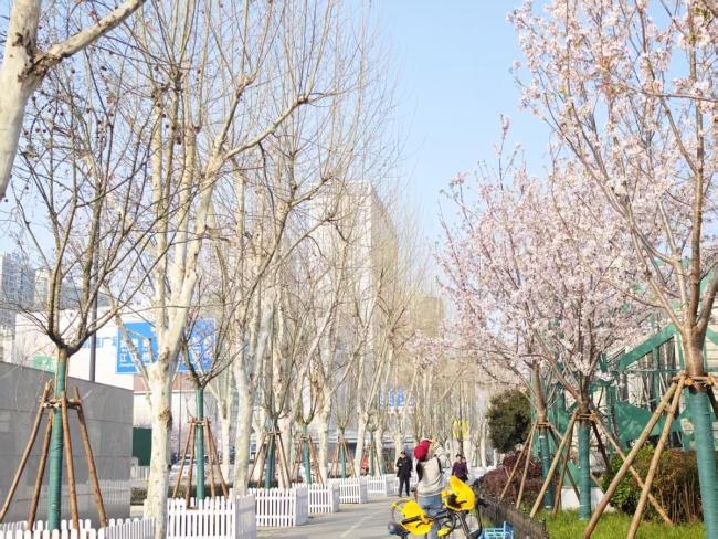 武汉欢乐谷簪花团队为汉马选手加油 春花盛宴助力奔跑