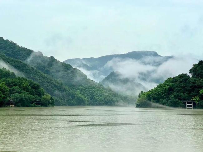 帮助梅姨案家属的记者去世 调查报道先锋离世