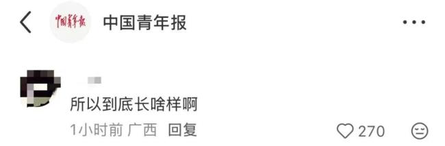 “梅姨”究竟长什么样 真容即将揭晓