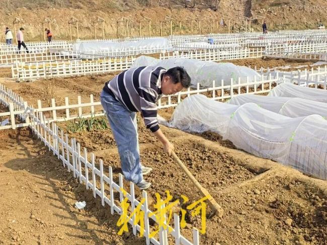 濟(jì)南這片“共享菜園”為啥這么火？記者實(shí)地探訪