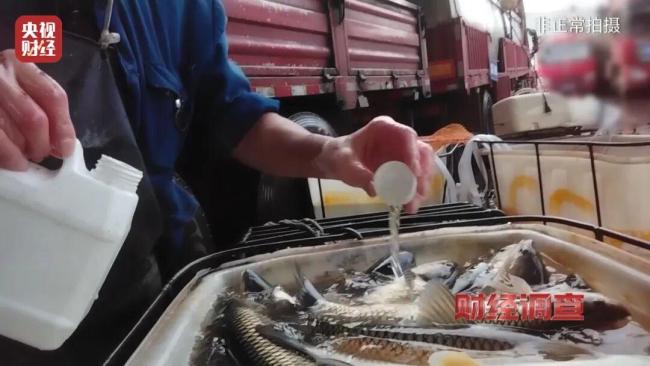 媒体曝光“麻醉鱼”内幕 三无产品引发健康隐患