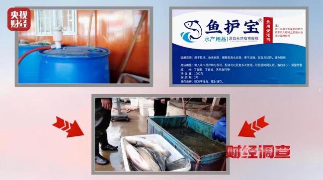 海鲜市场用工业酒精麻醉活鱼 重大食品安全隐患曝光