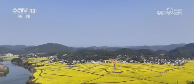多彩活動點燃春日文旅消費熱情