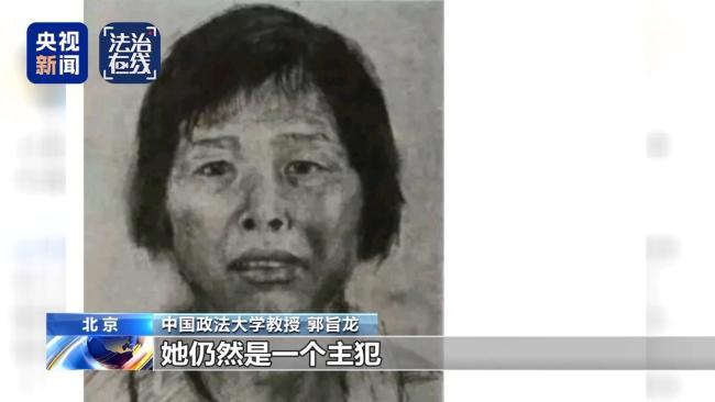 梅姨的下场会怎样？专家：可能判死刑 关键人物已被捕