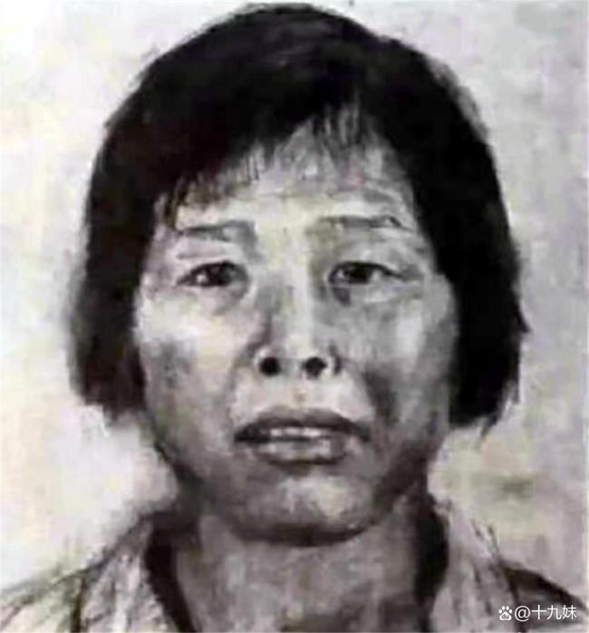 梅姨被逮捕是一个标志性法治事件 正义终将到来