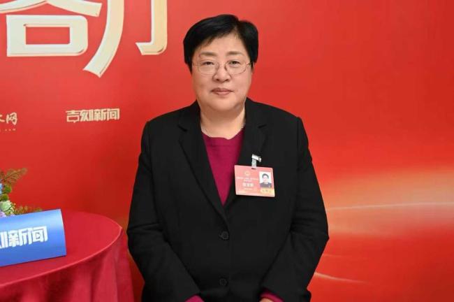 “宝贝回家”创始人谈梅姨落网