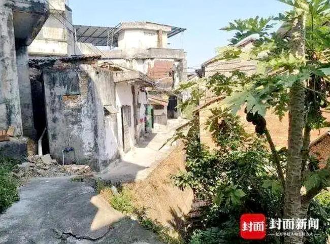 一文读懂梅姨案始末 多地警方合作终落网