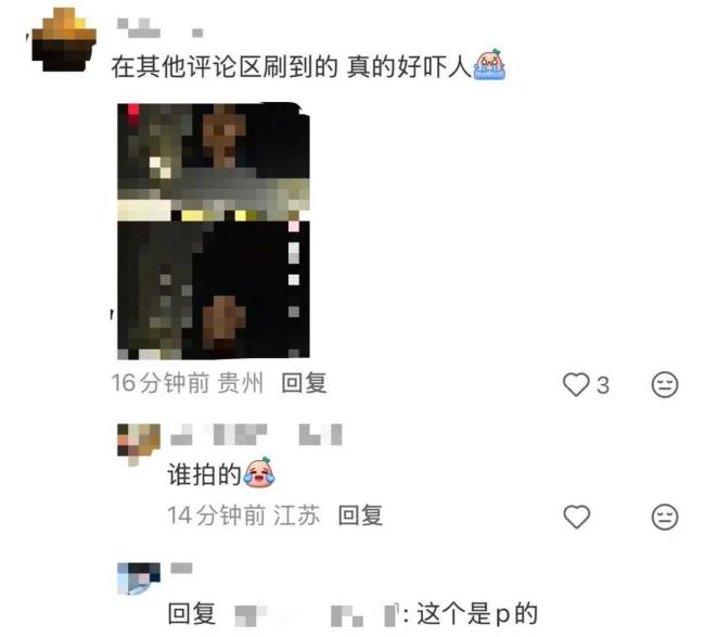 警方回应何时公布梅姨照片 模拟画像与真人相似度引关注