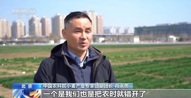 春耕是场跨越南北纬度的接力 错峰生产互补供给