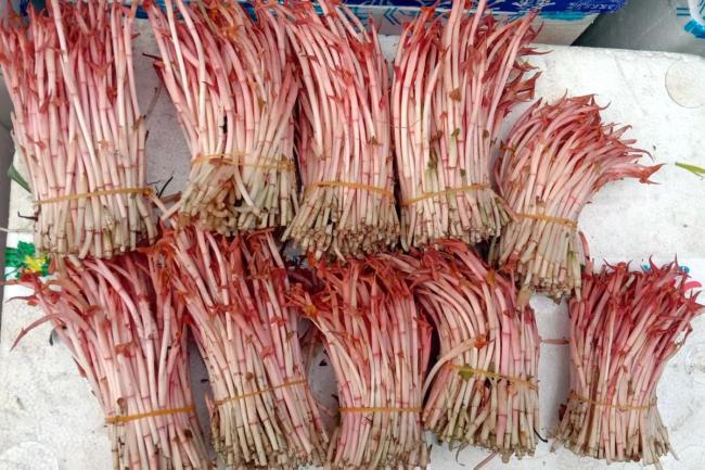 十多种春野菜塞满武汉市民菜篮子 尝鲜热情高涨