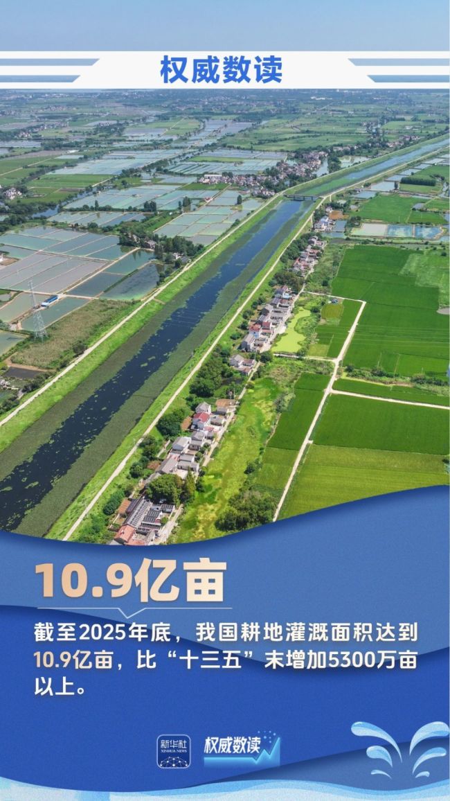 九組數(shù)據(jù)，見證大國治水的生動畫卷
