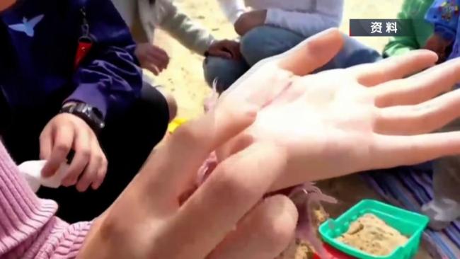 警惕风筝线暗藏的切割危险 隐形杀手不容小觑