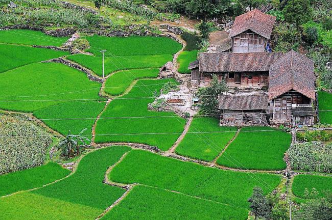 梅姨落网全过程揭秘