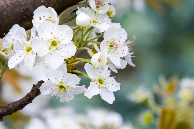 春日ColorWalk治愈了我的精神内耗 寻找日常小确幸