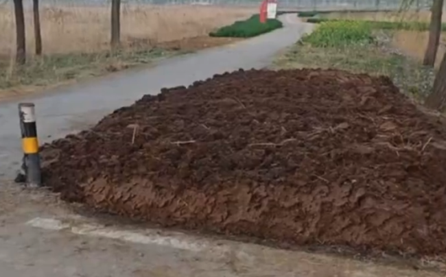 村民砍树开垦公园空地私用堆积粪便 当地：私自开垦不合规 将加强管理