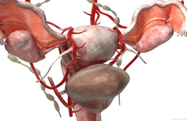 心脏健康红绿灯指标