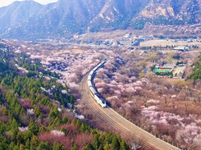 居庸关花海栈谈按期洞开