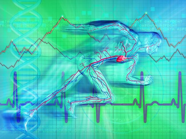 这5类东说念主其实不合适跑步 科学测验敬畏人命