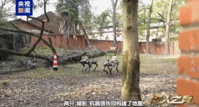 中国机器狼群巷战画面公开 硬核实力展示