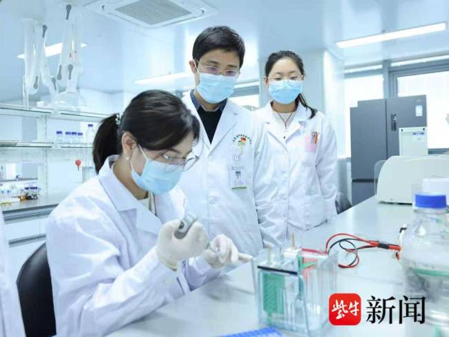 紫甘蓝或成心梗治疗“黑马” 新研究带来希望