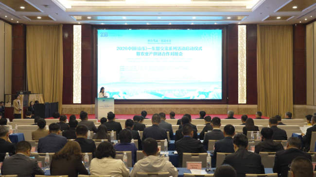 山东“牵手”东盟开启合作新篇