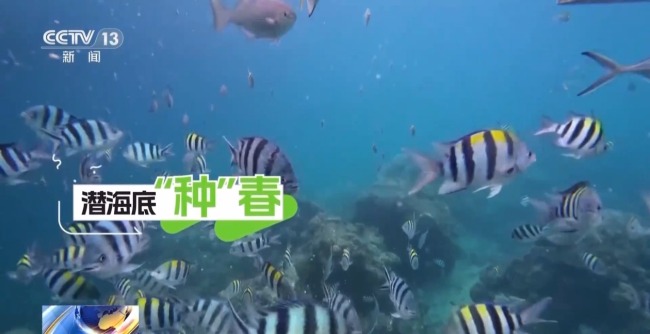 雨林探“花园” 来感受海南的“绿色脉搏”