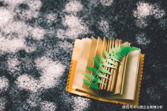 晋江把发票设为屏蔽词