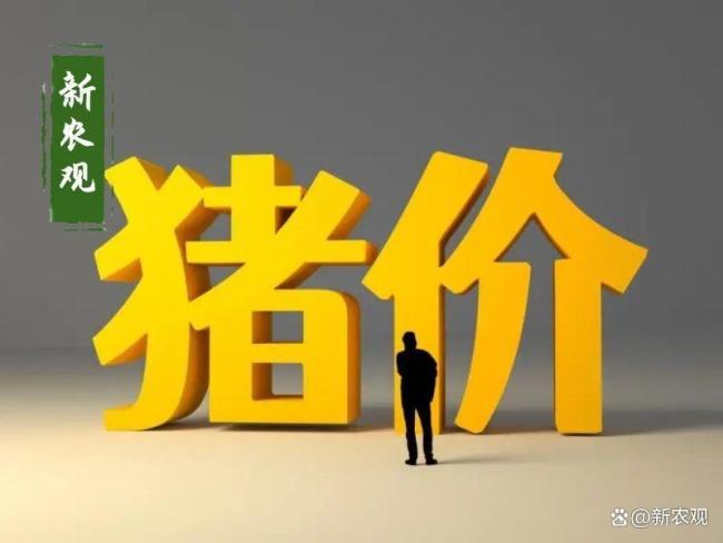 全国猪价已跌破5元