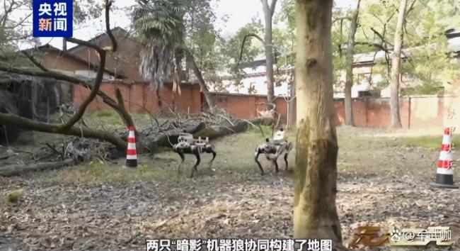 中国地面无人作战实力有多强 机器狼群震撼亮相