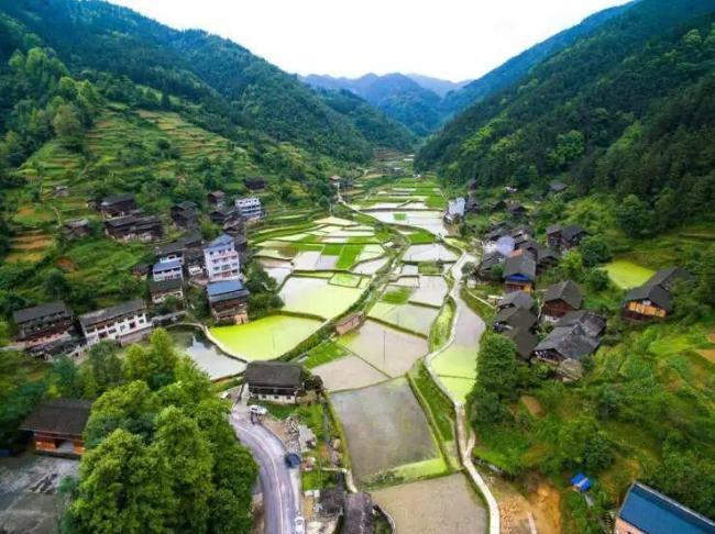 贵州一村办酒，随礼只收12元 风俗引网友羡慕