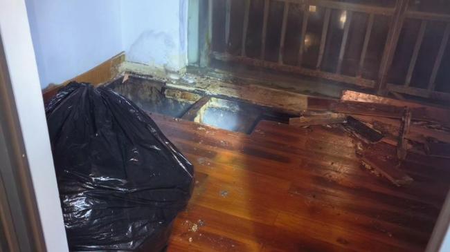 女子被蜜蜂骚扰两年求助消防 不堪其扰终报警