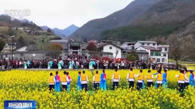 梯田美景-各地花海美景激活春日經(jīng)濟(jì)