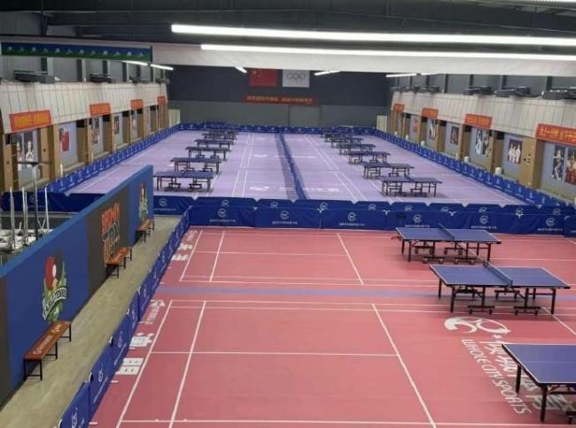 奥运冠军陈梦宁波开俱乐部 推动乒乓力量传承