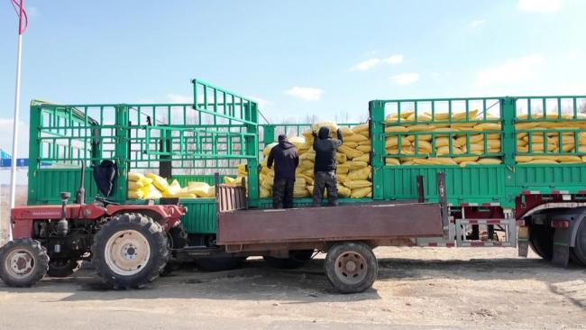 春耕一线扫描：精准施策 向新提质