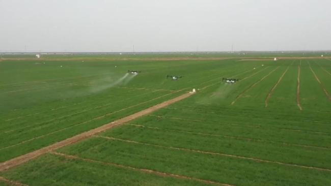 春耕一线扫描:精准施策 向新提质