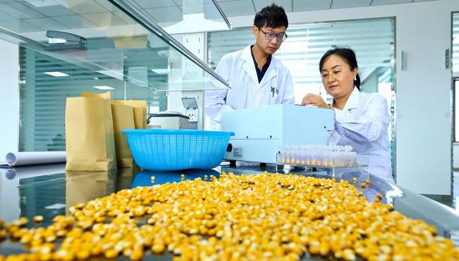 玉米胚芽粉被包装成抗衰神器