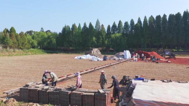 春耕一线扫描:精准施策 向新提质