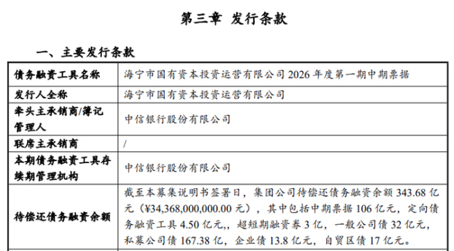 海宁国投拟发行15亿私募债 财务状况引关注