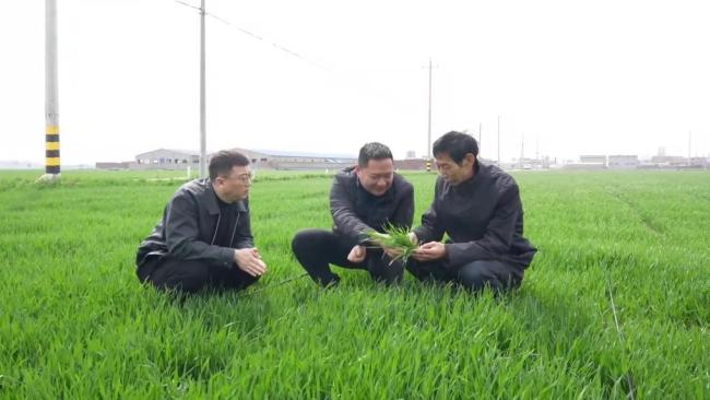 春耕一线扫描：精准施策 向新提质