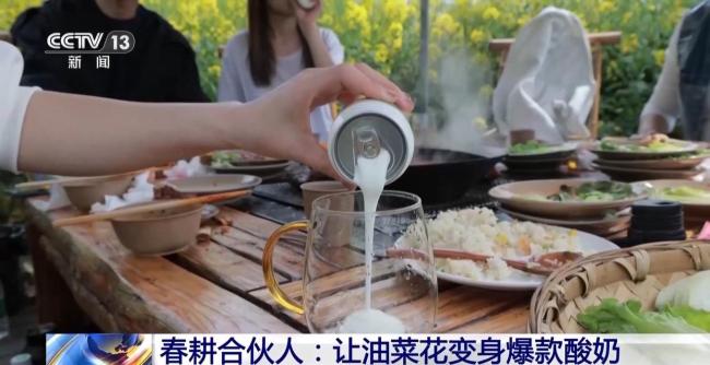油菜花酸奶卖爆了 春耕合伙人的创新故事