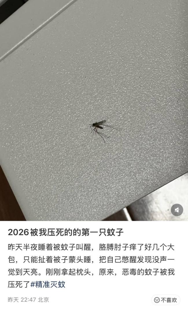 蚊子提前“开工” 有东谈主3月就用蚊帐 南北多地遇到蚊虫困扰