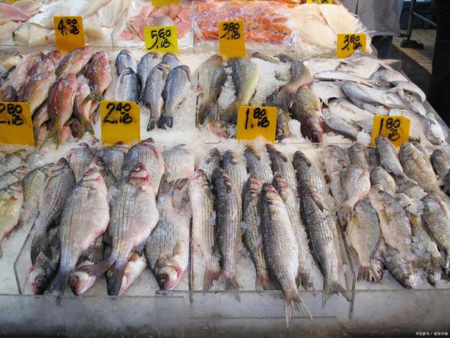 水产专家建议这6种鱼少吃 选错鱼反而伤身