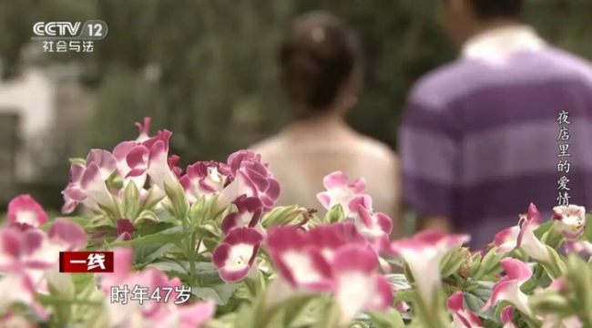 夜店主管同时交往两名富婆 诈骗1700万填赌债 甜蜜骗局背后的真相