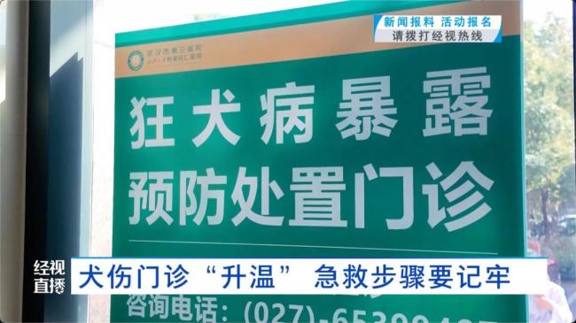 须眉看到狗打架拉架被握咬伤 春季动物致伤增多