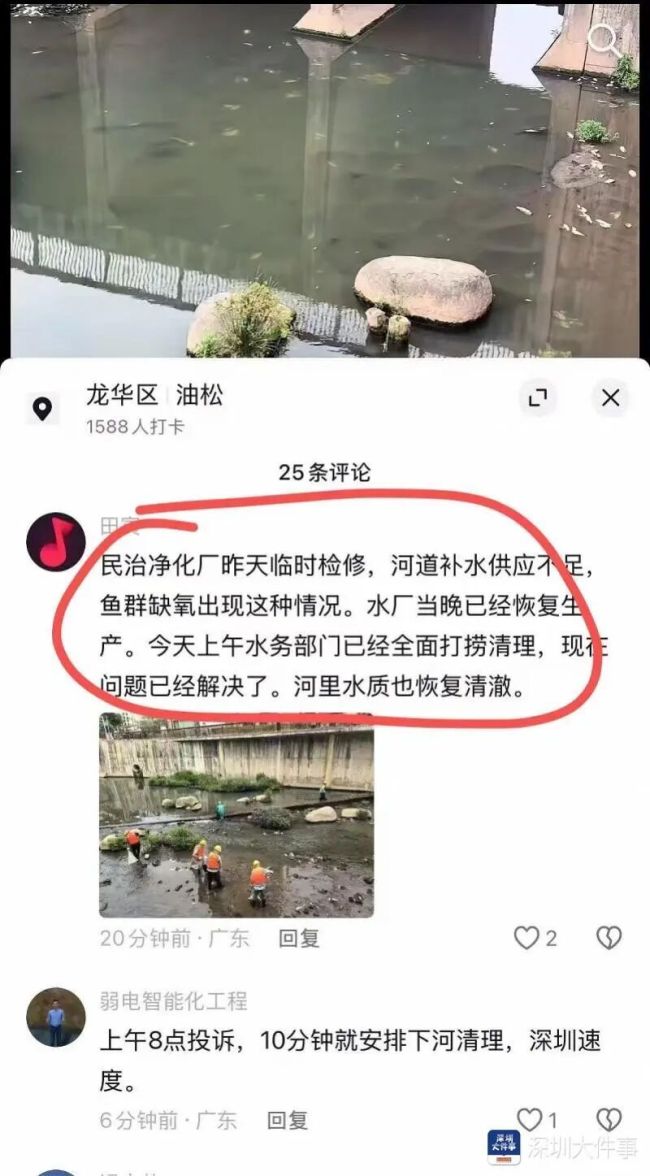 水务局称漂浮大量死鱼河道水质达标 市民担忧水质问题