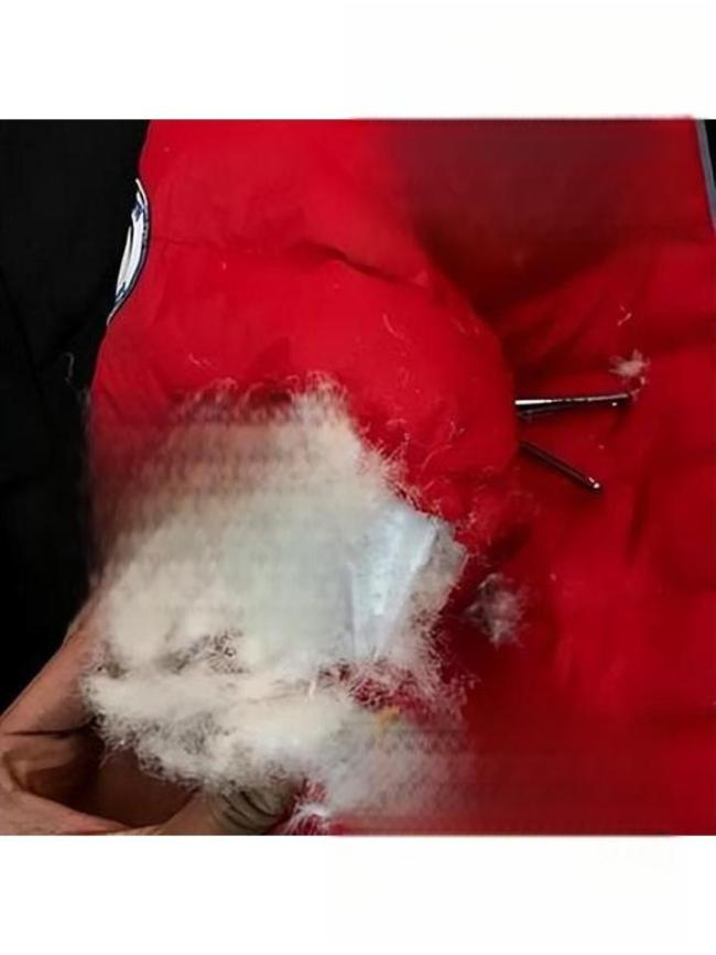 多款知名品牌儿童羽绒服被中消协点名