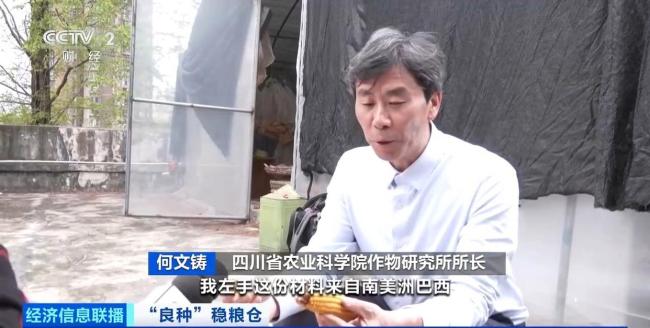 中国粮用上中国种 科技创新助力种业发展